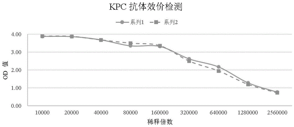 与KPC酶结合的抗体或其抗原结合片段及其应用