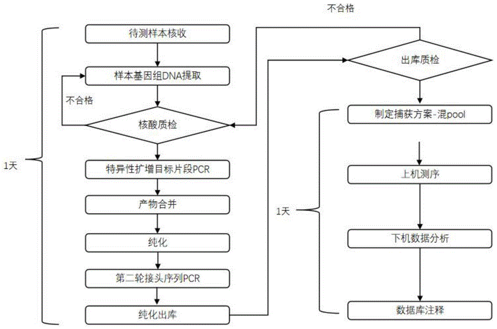 一种检测MPN变异位点的试剂盒及检测方法