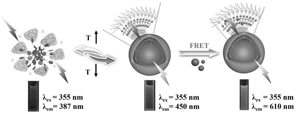 一种具有温度响应性光捕获能力的纳米组装体及其制备方法和应用