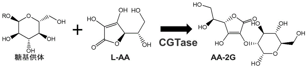 一种糖基转移酶融合酶变体及其在AA-2G制备中的应用