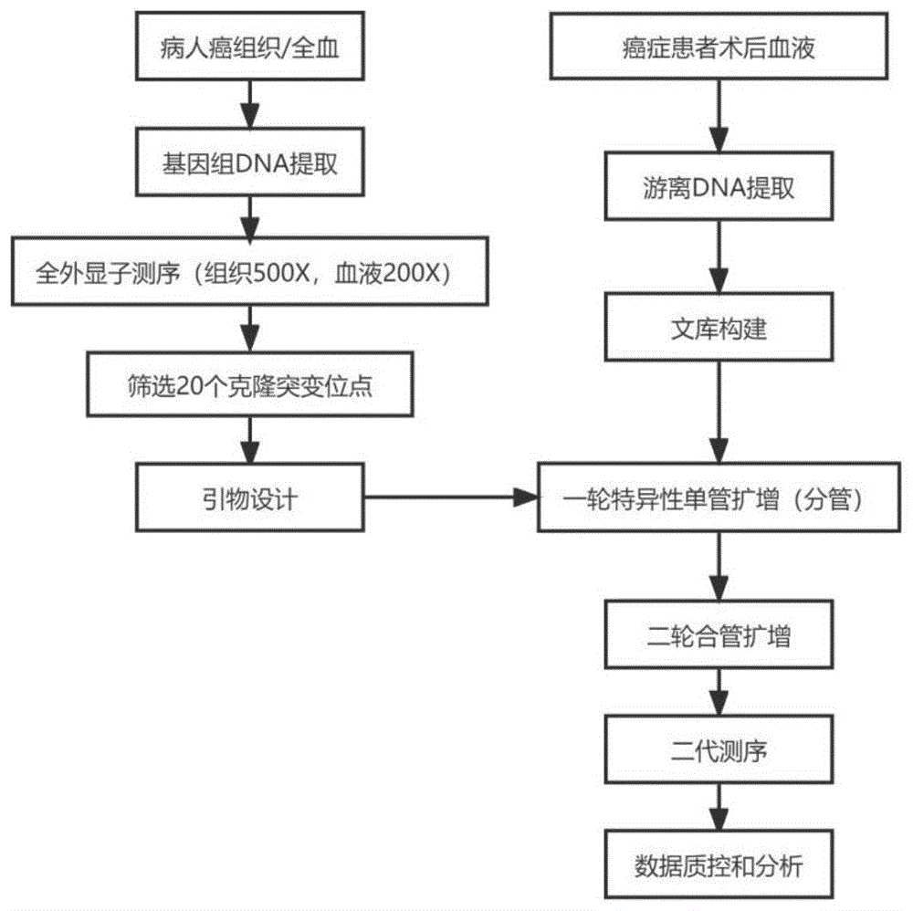 一种基于循环肿瘤DNA的突变基因检测方法及其应用