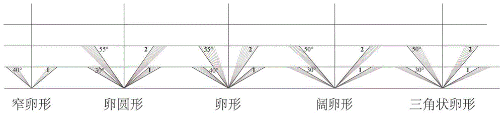 一种基于几何测量确定梓属叶片形状的方法