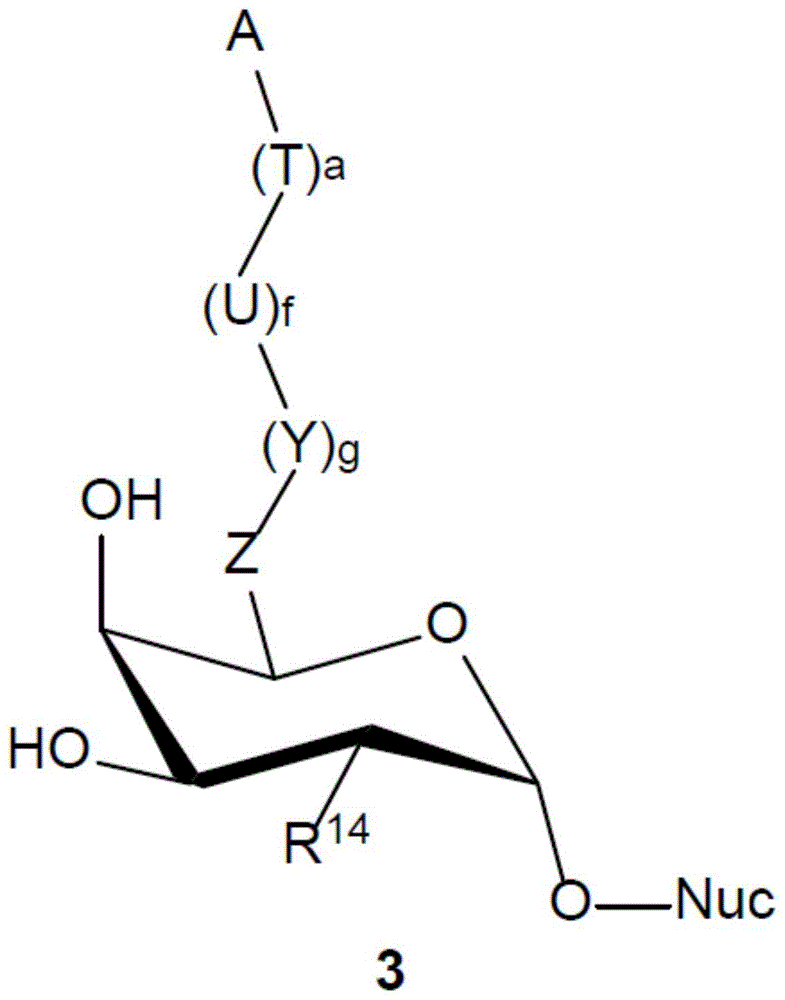 用为或衍生自β-(1,4)-N-乙酰半乳糖胺转移酶的糖基转移酶修饰糖蛋白的方法