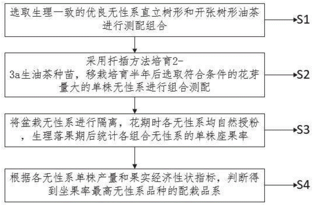 一种香花油茶无性系测配方法