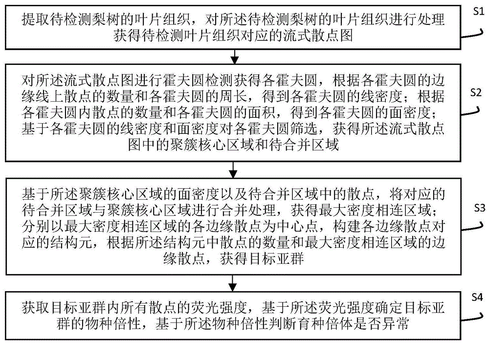 一种梨倍性育种倍体异常检测方法