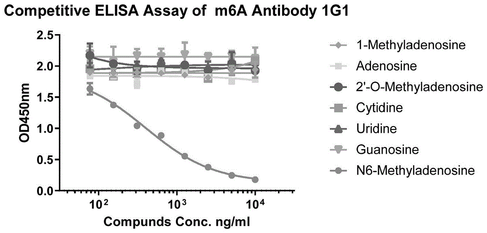 m6A的结合蛋白及其应用