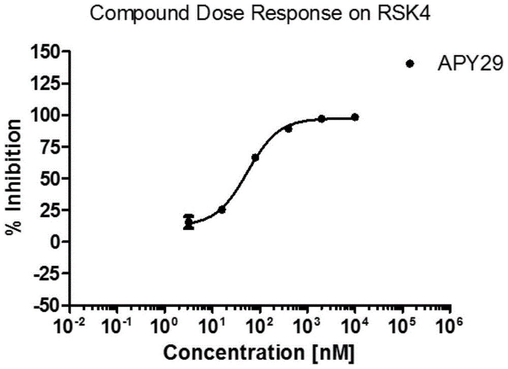 APY29在制备RSK4激酶抑制剂中的用途