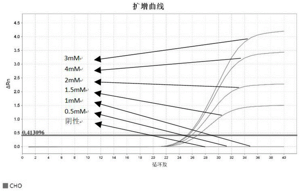 利用分子信标检测CHO核酸残留的方法及引物和试剂盒