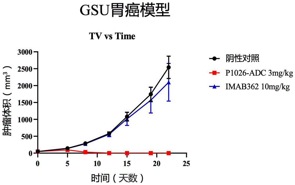 一种靶向CLDN18.2的抗体药物偶联物及其应用