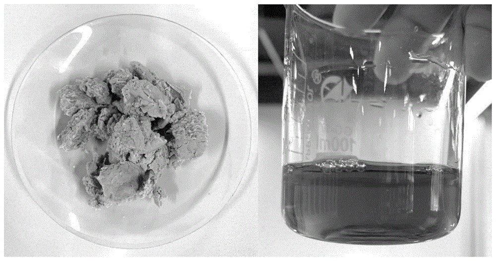 一种化学法制备木质纤维素本色浆联产木质素磺酸盐的方法