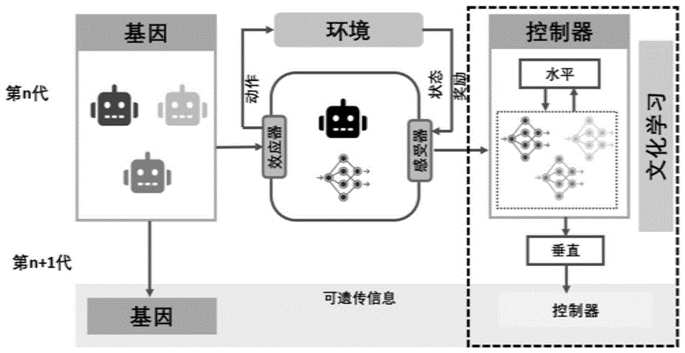 一种基于社会文化传播的智能体形态演化方法