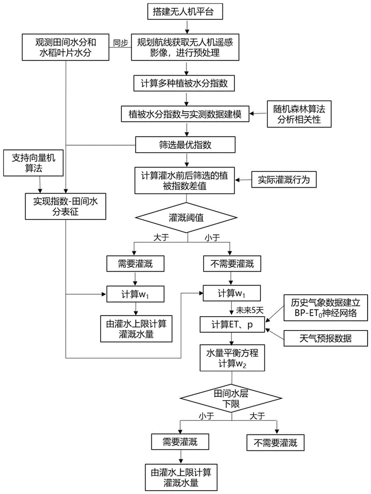 灌区水稻需水信息感知及灌溉决策方法