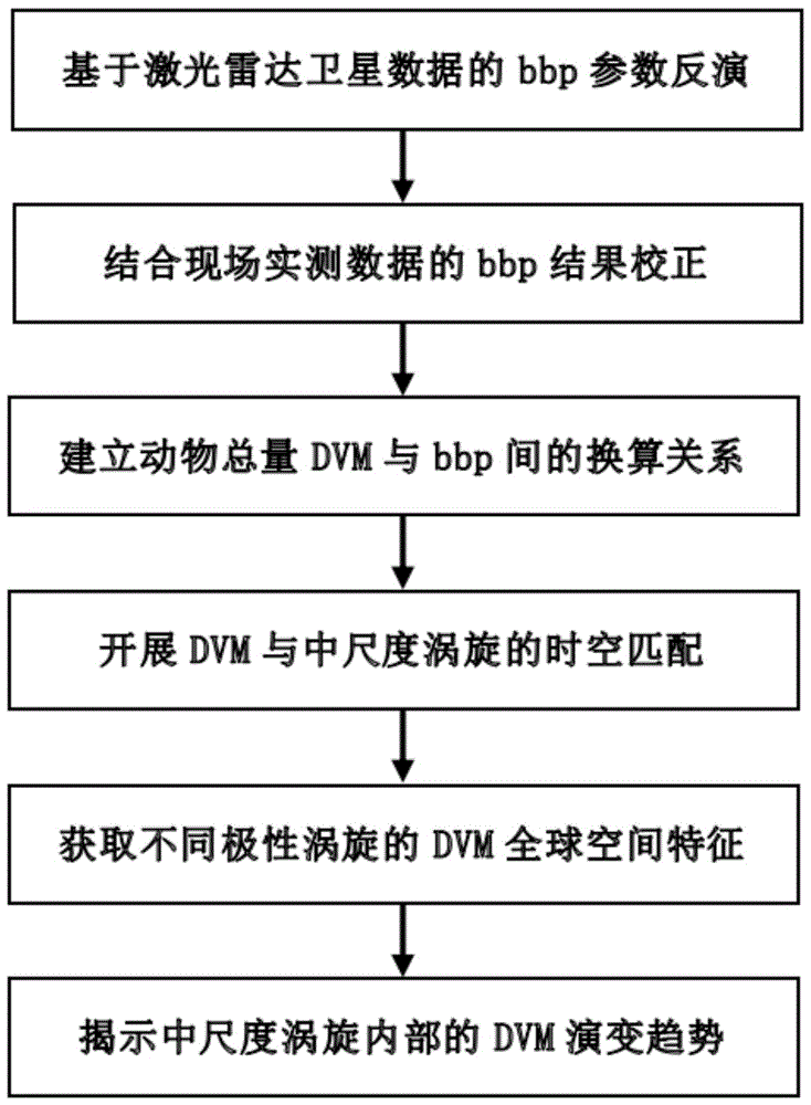 一种海洋中尺度涡旋内部碳循环的估算及演化分析方法