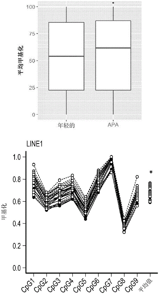 用于鉴定高龄父亲年龄相关表观遗传失调的方法和试剂盒