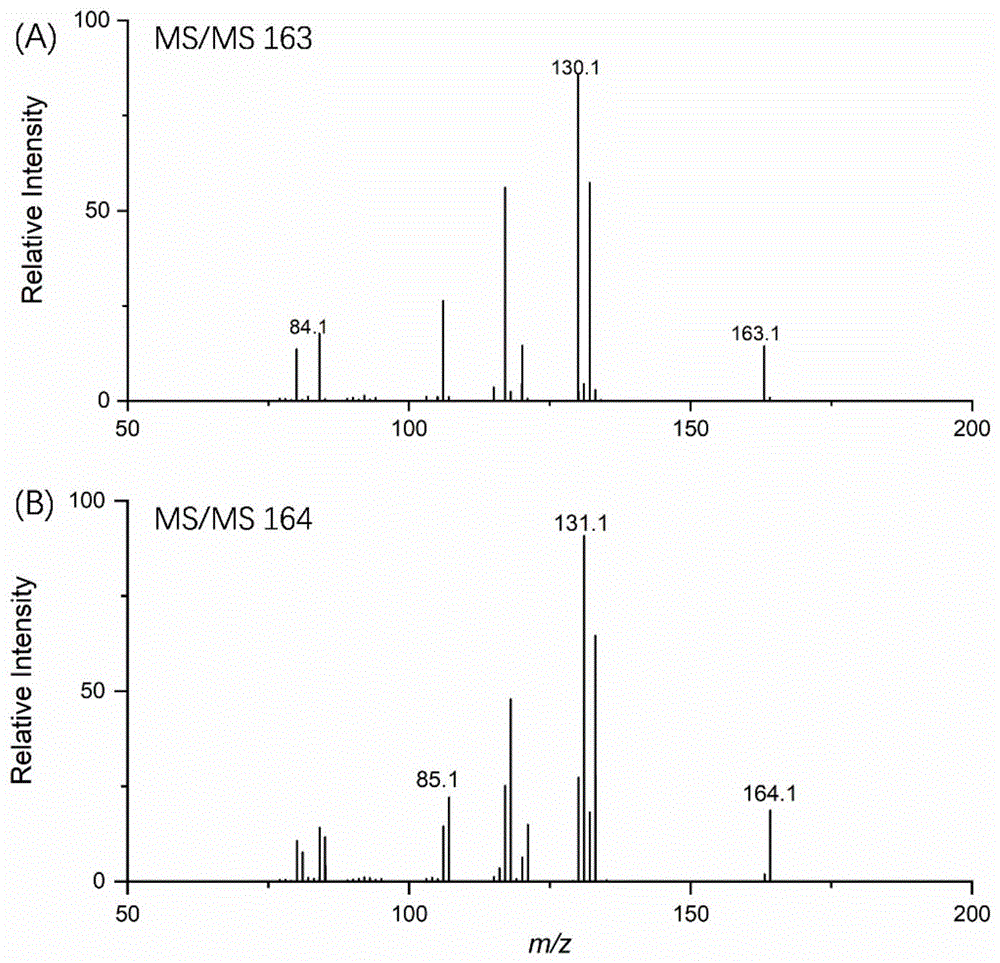 一种鉴别天然烟碱和合成烟碱的液相色谱-串联质谱分析方法