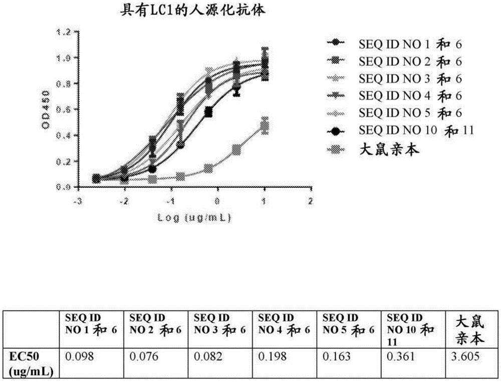 人源化抗EMAPII治疗性抗体