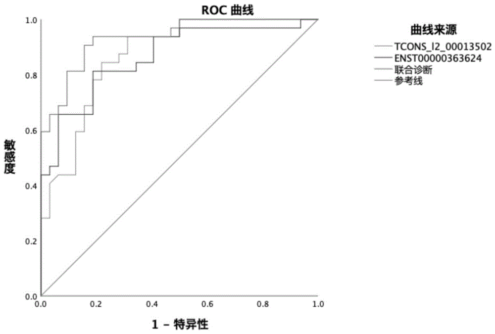 一种类风湿关节炎的分子标记及应用