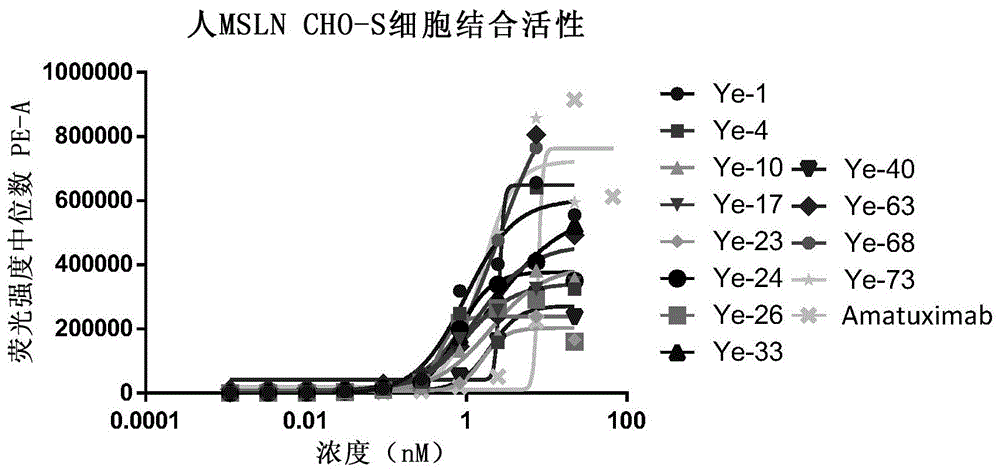 抗间皮素纳米抗体及其用途