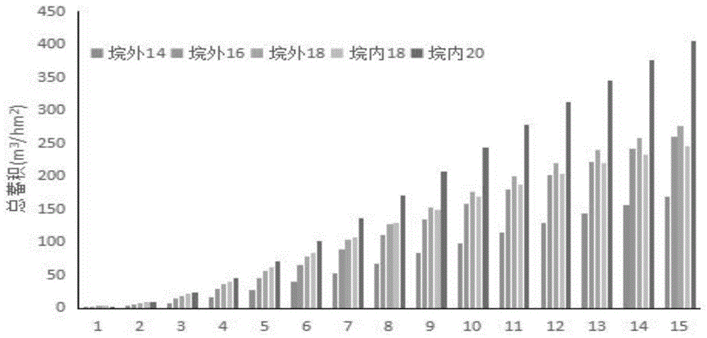 一种洞庭湖平原区杨树大径材培育方法