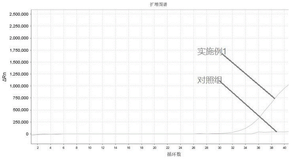 一管式RT-qPCR全预混反应试剂、应用及RT-qPCR方法