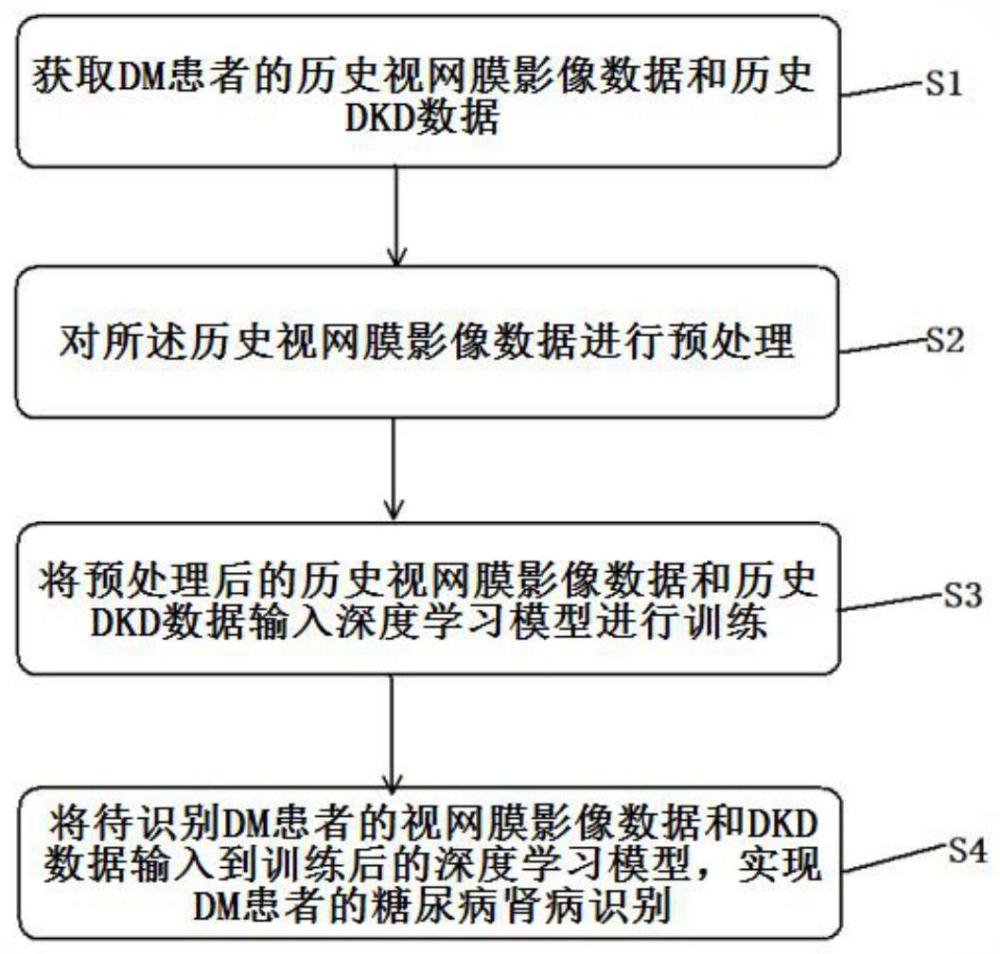 一种慢性糖尿病肾病识别方法和装置、存储介质