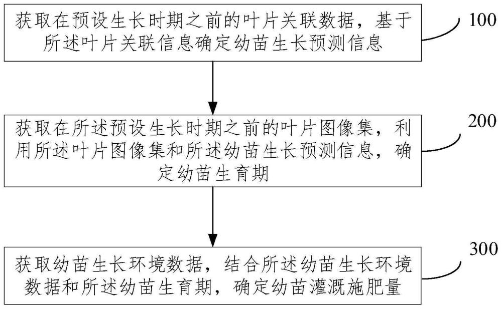 一种幼苗水肥管理方法、系统、电子设备及存储介质