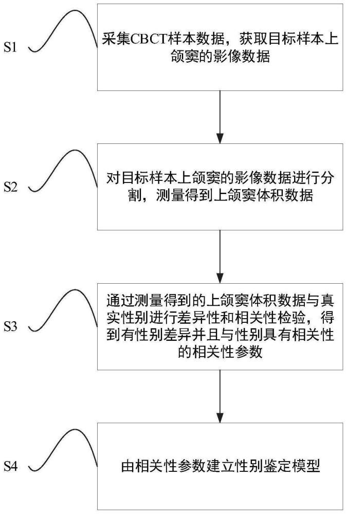 一种基于上颌窦推断性别的方法、系统、设备及存储介质