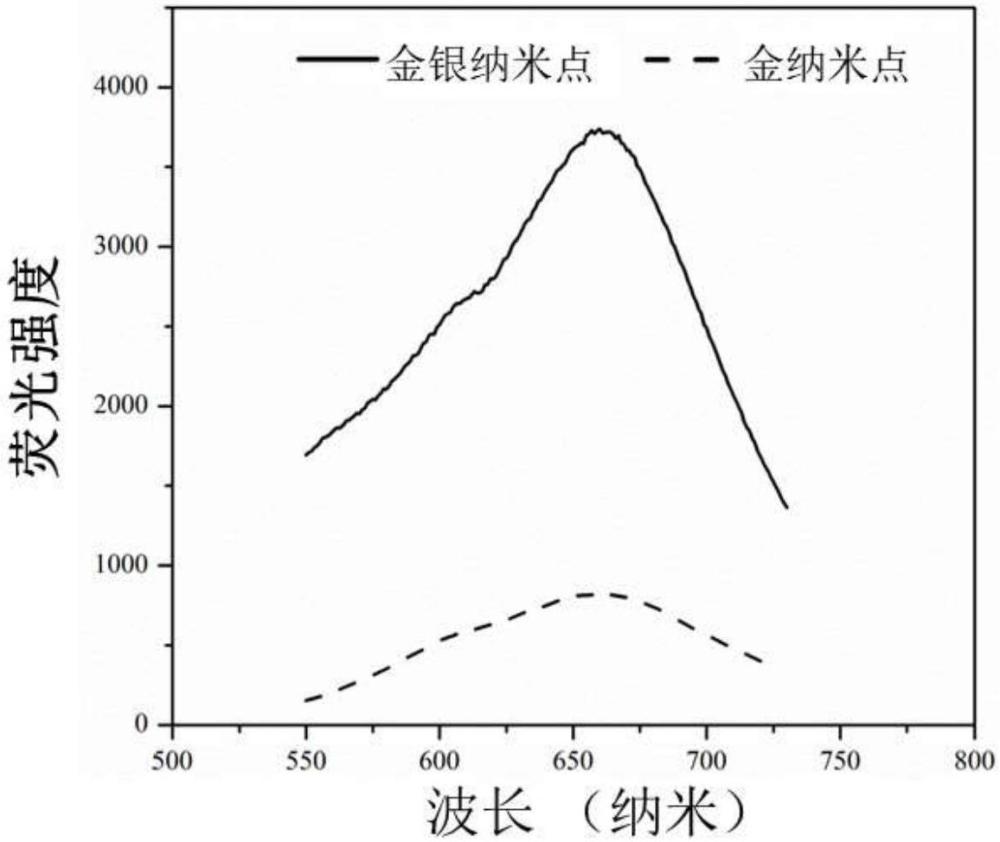 一种仿石榴的纳米复合物、制备及其在糖尿病伤口修复方面的应用