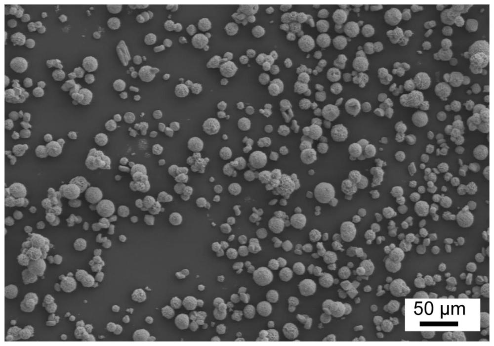 一种多孔连通性锶掺杂羟基磷灰石微球及其制备方法和应用