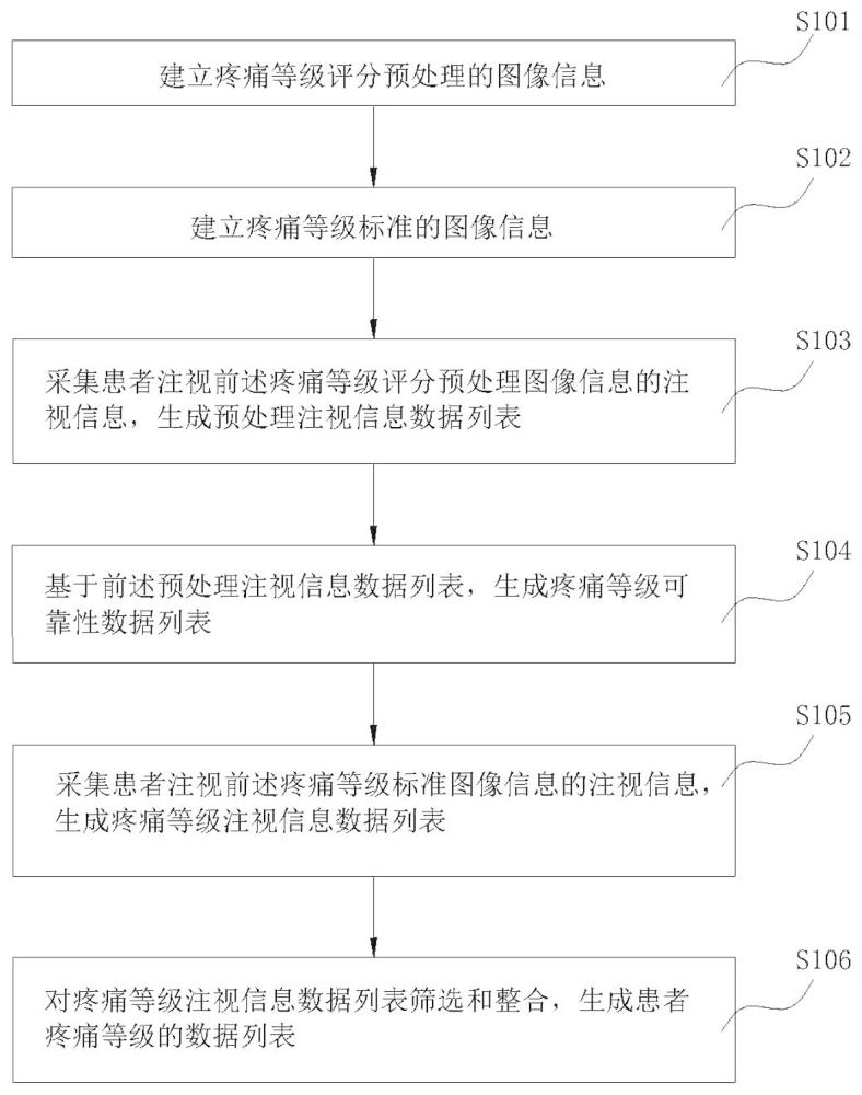 可视化疼痛等级评分方法及应用