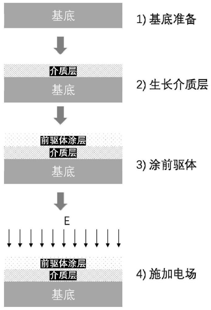 一种应用于太阳能电池的电晕处理方法及应用