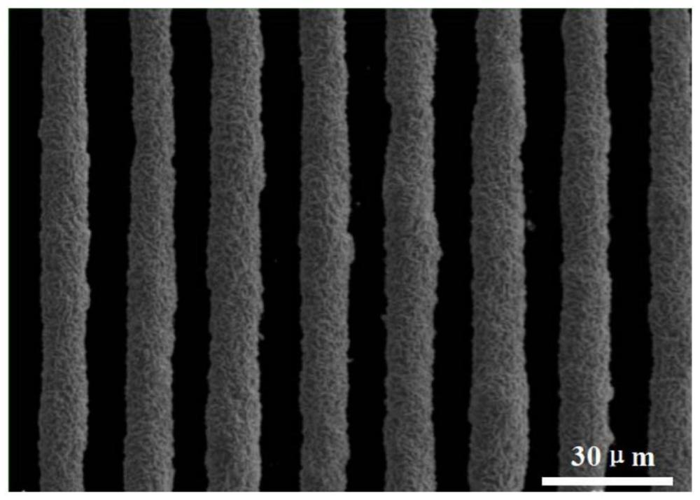 一种金属纳米颗粒微图案化学镀结构及其制备方法