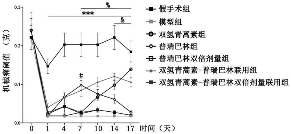 一种预防和/或治疗神经病理性疼痛或并发症的药物组合物