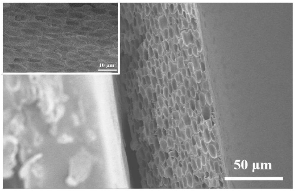 一种表面电势可控的内部多孔带电修复膜材料及其制备方法和应用