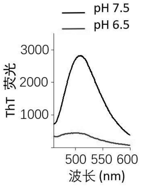 一种筛选pH响应自组装多肽的方法