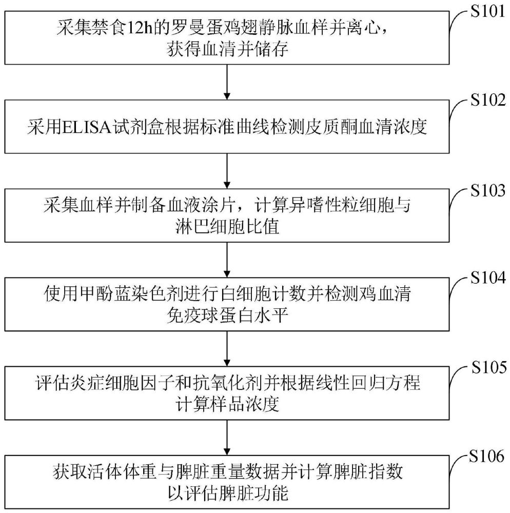 新型饲粮及其增强热应激下罗曼蛋鸡免疫力的测试方法