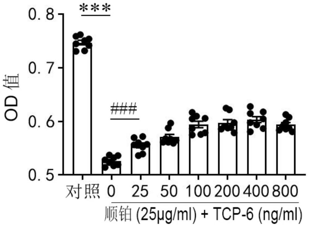 多肽TCP-6及其在制备治疗急性肾损伤的药物中的应用