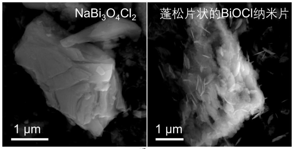 晶格脱盐法制备BiOX及其电催化产卤素单质的应用