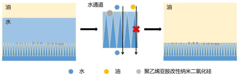 一种基于碳纳米管薄膜的浮油及乳化液过滤膜、制备方法及应用