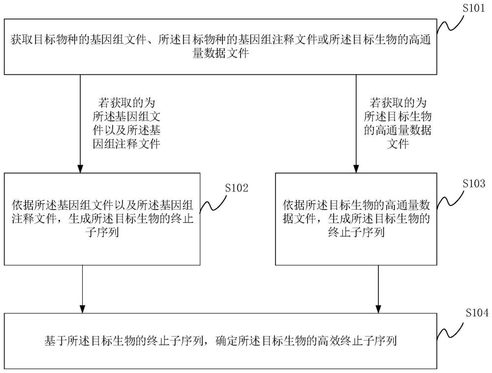 基因终止子查询方法、装置、设备及可读存储介质