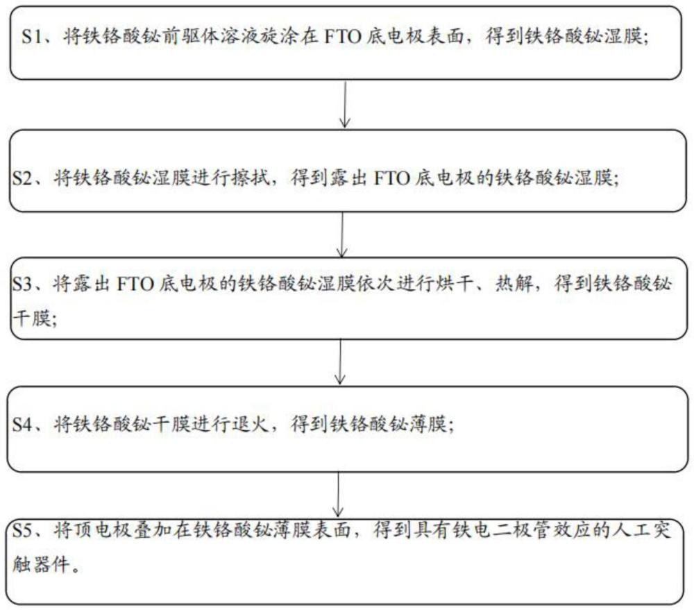 具有铁电二极管效应的人工突触器件及制备方法和应用