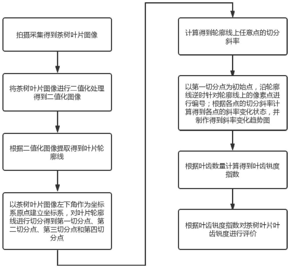 一种茶树叶片叶齿锐度的量化评价方法