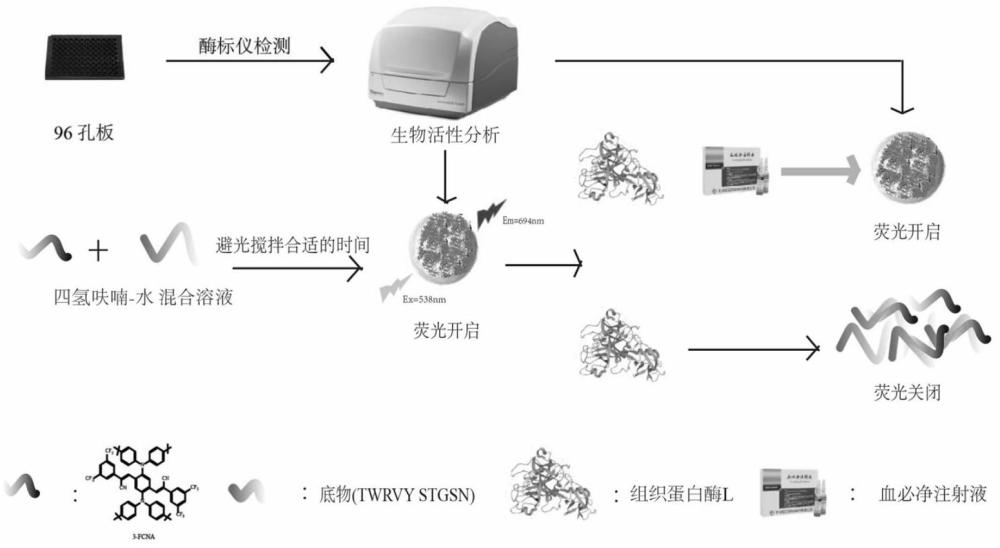 一种检测组织蛋白酶L的荧光传感器的制备方法及其产品和应用