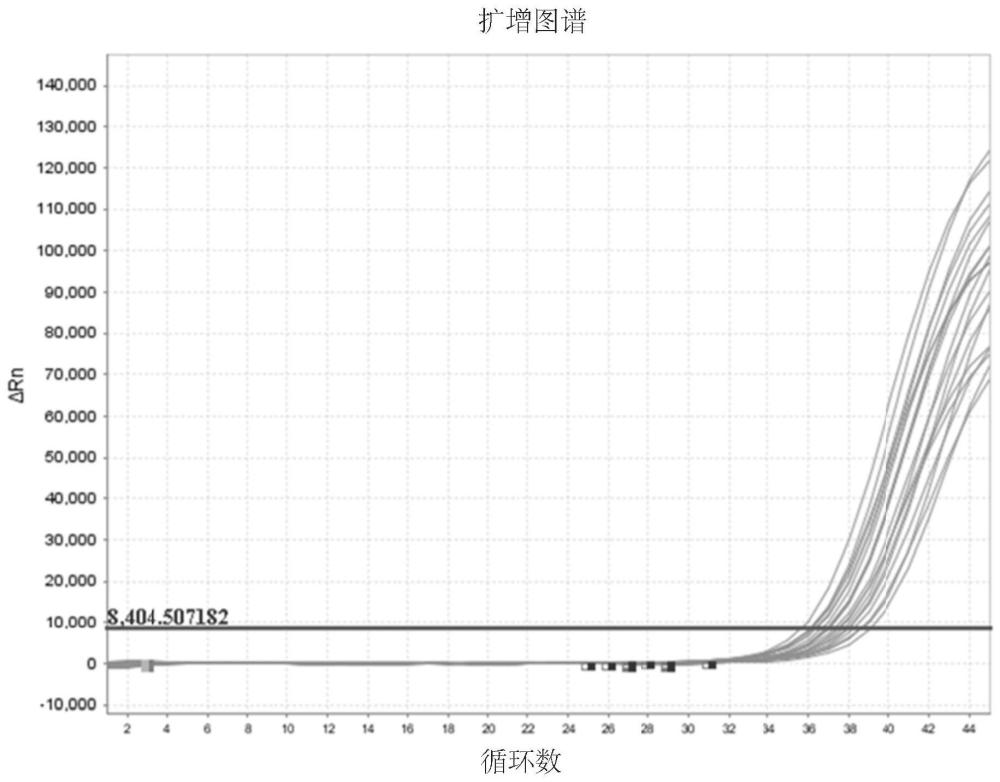 基于数字PCR检测鼻咽癌中EB病毒的引物探针组合