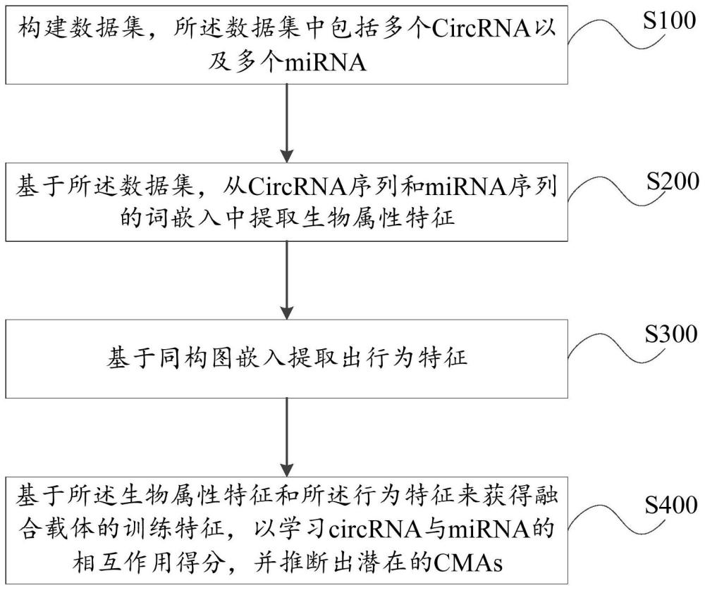 CircRNA-miRNA关联预测方法、装置及介质