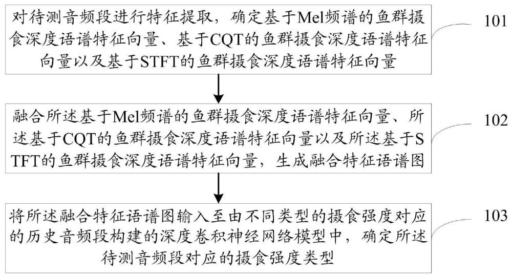 一种鱼群摄食强度分类方法、系统及设备