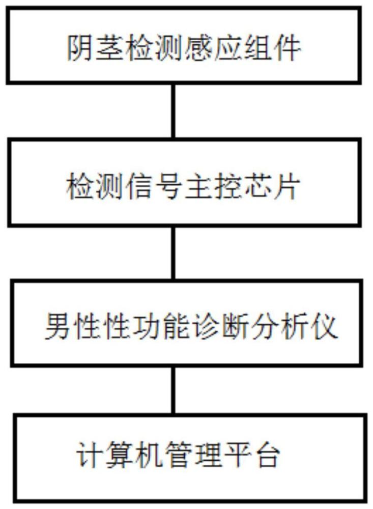 一种对男性阴茎状态检查的性功能记录分析装置