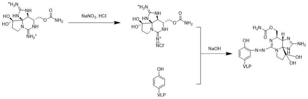 一种石房蛤毒素单克隆抗体及其制备方法与应用