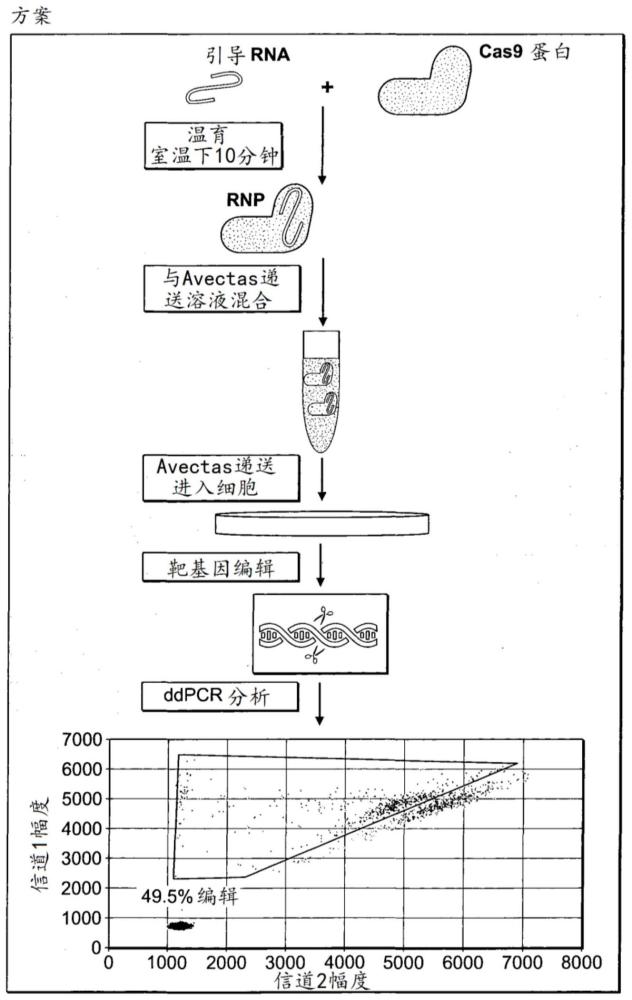 基因编辑蛋白和组合物向细胞和组织的无载体递送