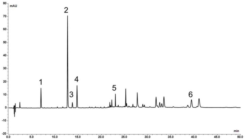 药食同源组合物或其提取物的超高效液相特征图谱及其构建方法和在含量测定中的用途